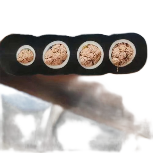 K8������(�й�)����Ӯ�ҡ�һ������