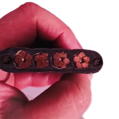 K8������(�й�)����Ӯ�ҡ�һ������