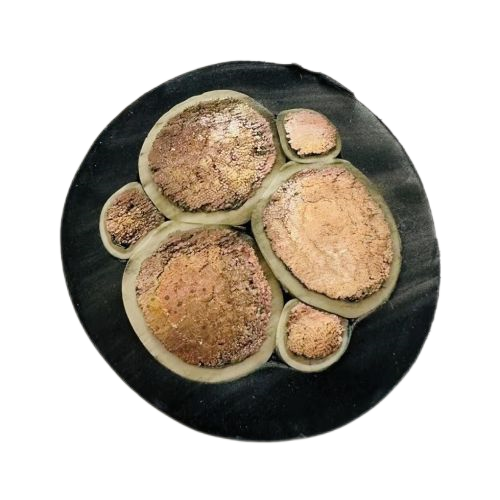 K8������(�й�)����Ӯ�ҡ�һ������