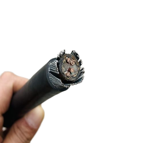 K8������(�й�)����Ӯ�ҡ�һ������