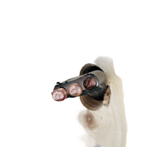 K8������(�й�)����Ӯ�ҡ�һ������