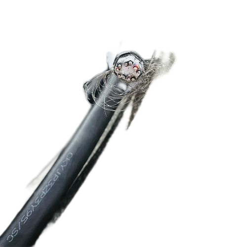 K8������(�й�)����Ӯ�ҡ�һ������