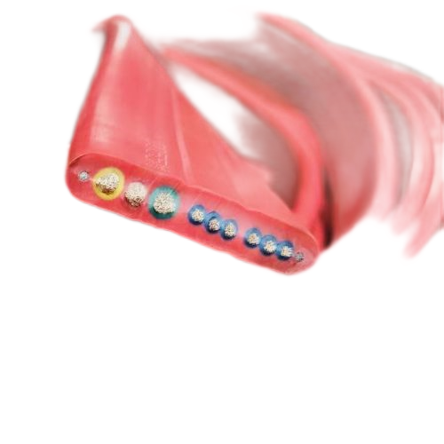 K8������(�й�)����Ӯ�ҡ�һ������