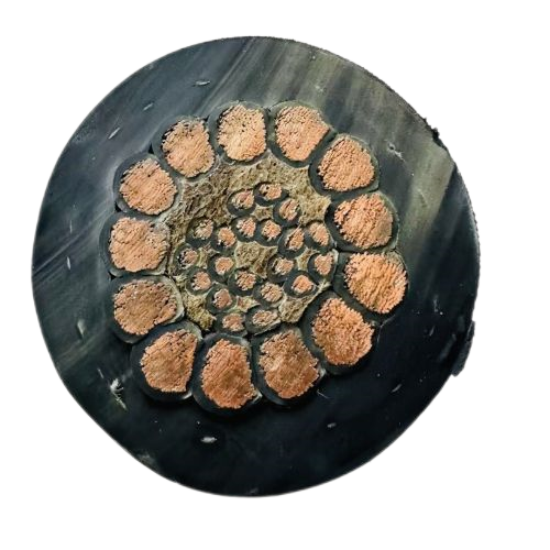 K8������(�й�)����Ӯ�ҡ�һ������