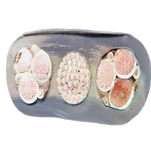 K8������(�й�)����Ӯ�ҡ�һ������