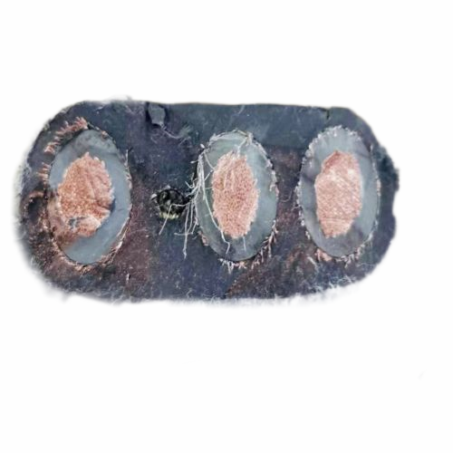 K8������(�й�)����Ӯ�ҡ�һ������