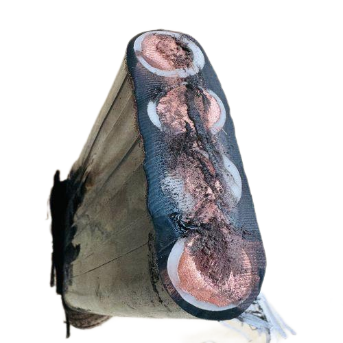 K8������(�й�)����Ӯ�ҡ�һ������