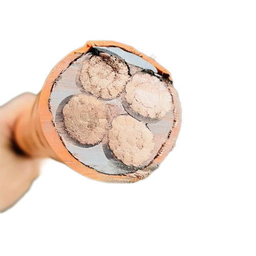 K8������(�й�)����Ӯ�ҡ�һ������