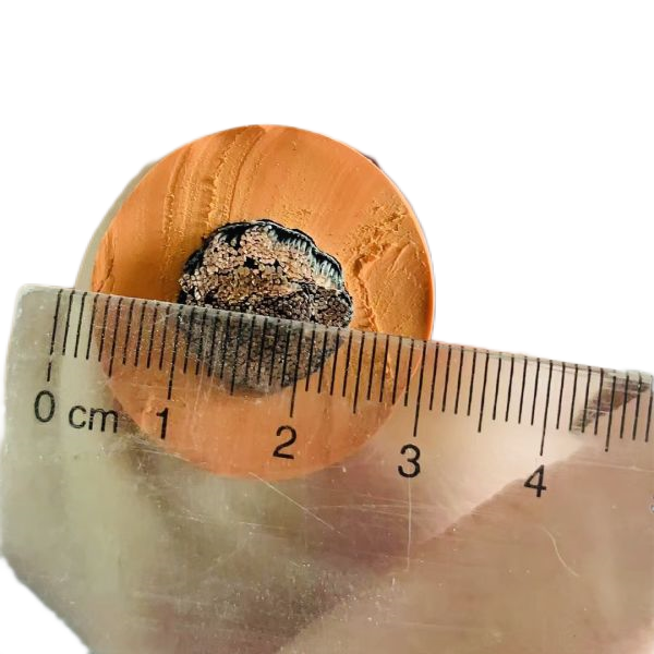 K8������(�й�)����Ӯ�ҡ�һ������