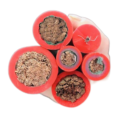 K8������(�й�)����Ӯ�ҡ�һ������