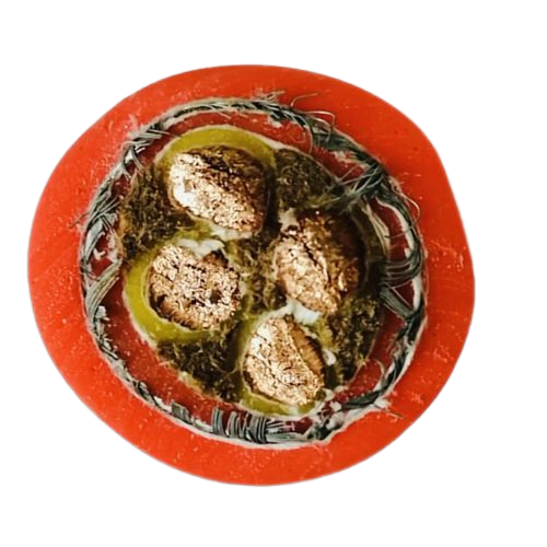 K8������(�й�)����Ӯ�ҡ�һ������