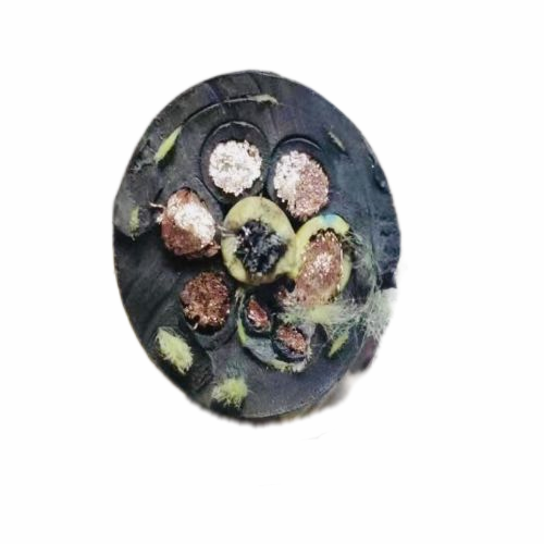 K8·凯发(中国)天生赢家·一触即发