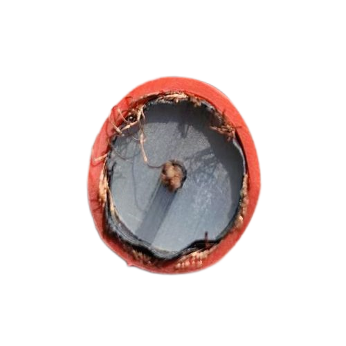 K8������(�й�)����Ӯ�ҡ�һ������