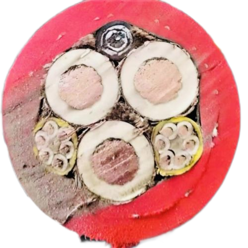 K8������(�й�)����Ӯ�ҡ�һ������