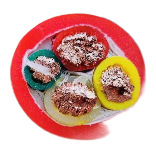 K8������(�й�)����Ӯ�ҡ�һ������