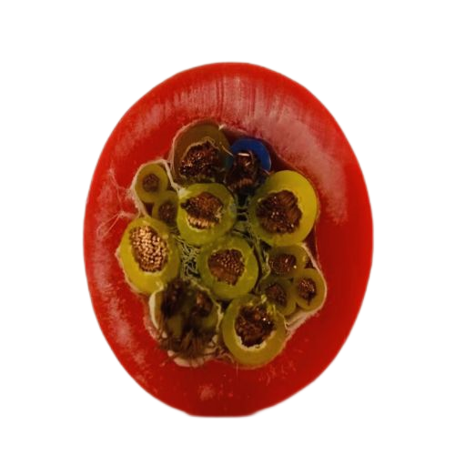 K8������(�й�)����Ӯ�ҡ�һ������