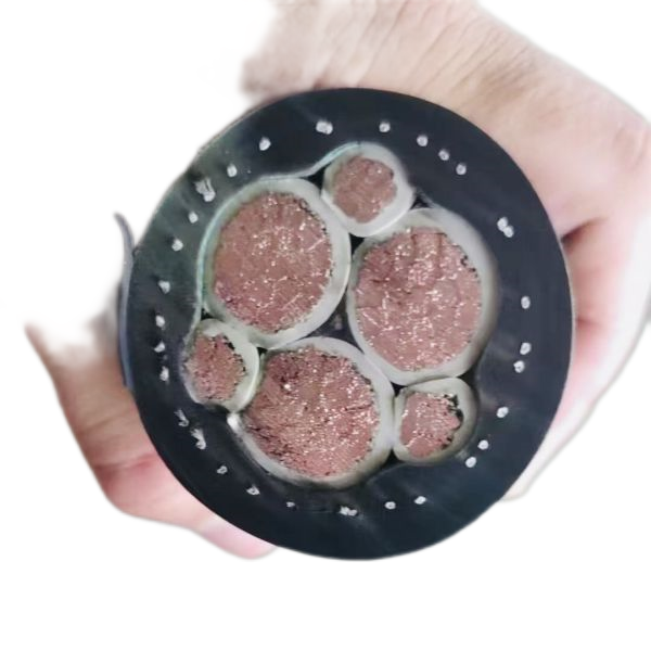 K8������(�й�)����Ӯ�ҡ�һ������