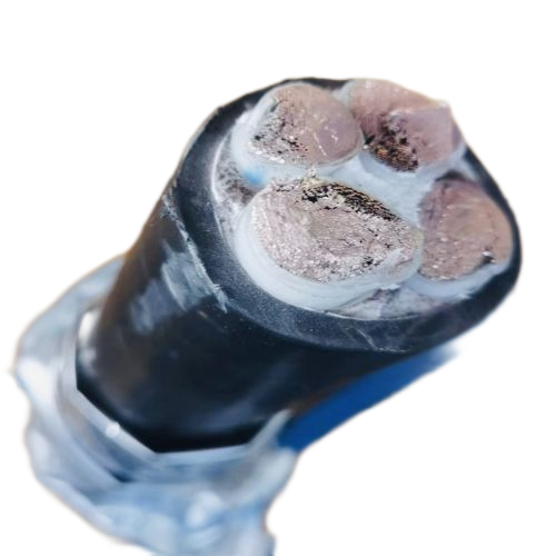 K8������(�й�)����Ӯ�ҡ�һ������