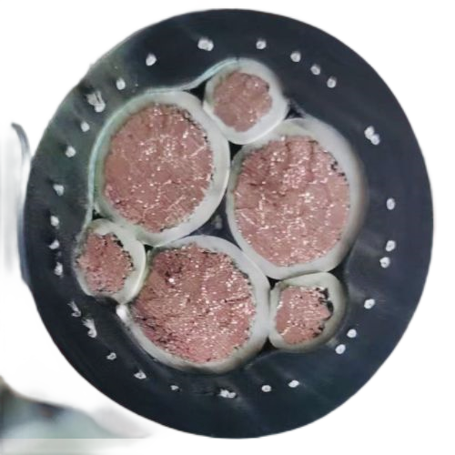 K8������(�й�)����Ӯ�ҡ�һ������