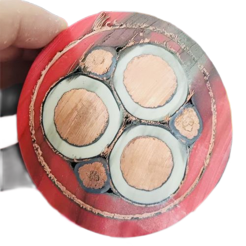 K8������(�й�)����Ӯ�ҡ�һ������