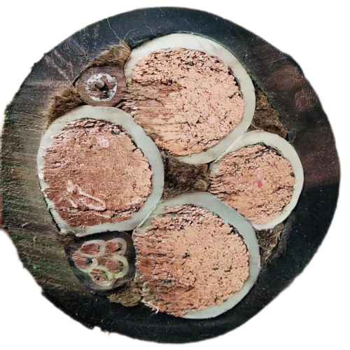 K8������(�й�)����Ӯ�ҡ�һ������